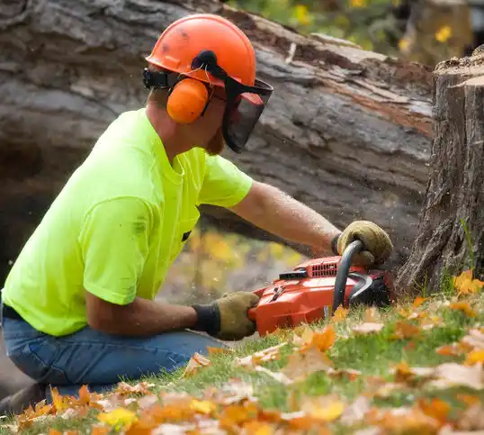 tree services Burlington Junction